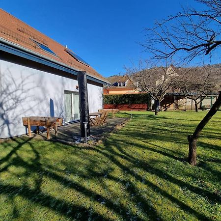 Le Gite De Cleo, Maison Spacieuse Et Paisible. Metzeral Exteriör bild